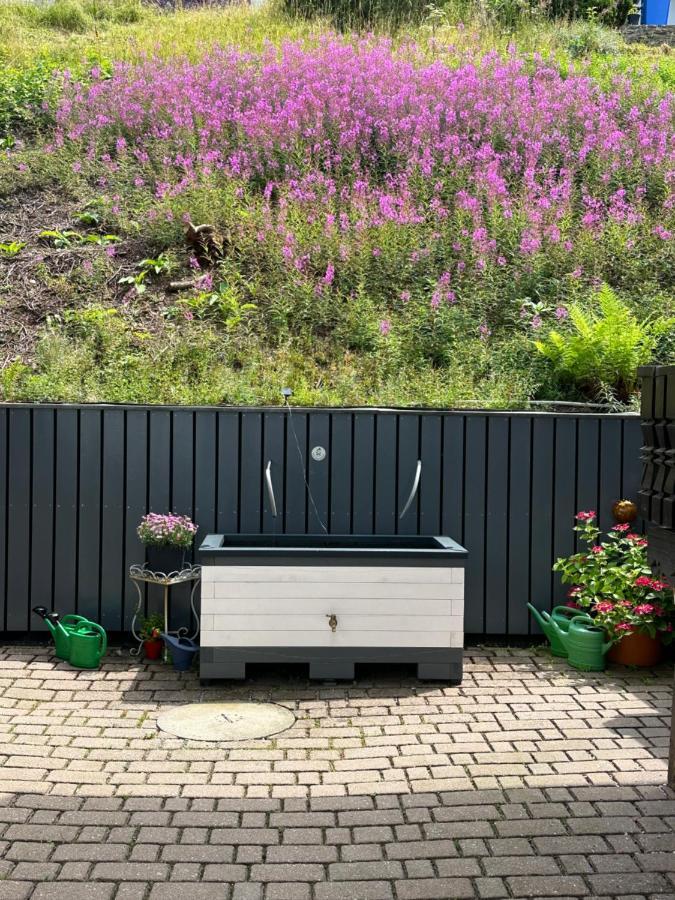 Modernes Top Apartment Mitten Im Bayerischen Wald + Wlan Kostenfrei Schofweg Luaran gambar