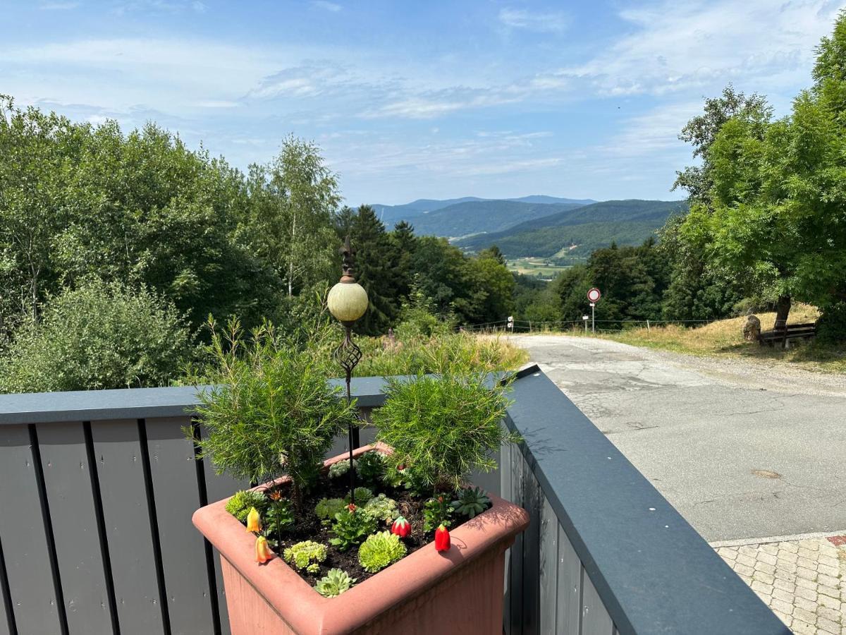 Modernes Top Apartment Mitten Im Bayerischen Wald + Wlan Kostenfrei Schofweg Luaran gambar